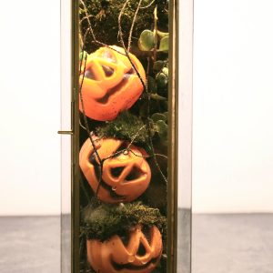 Halloween Terrarium